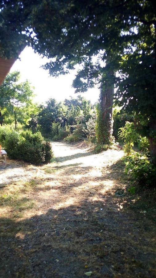 Vila Twoj Azyl Świdnik Exteriér fotografie